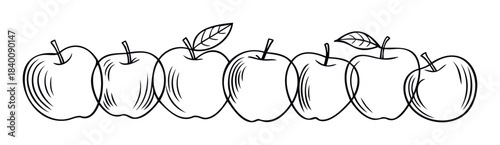 Line art depiction of a row of seven apples with stems and some with leaves, perfect for natural food themes and healthy eating promotions.