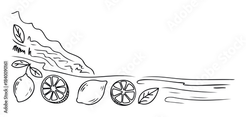 Fresh organic lemons and leaves in a simple line drawing, perfect for healthy food promotions and natural product branding.