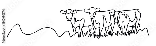Minimalist line drawing of three cows standing in grassy fields, perfect for farm branding and agricultural themes.