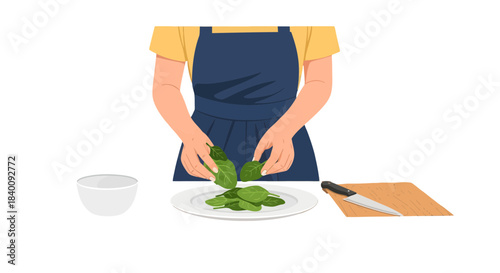 Woman Prepares Salad Ingredients Preparing Fresh Spinach Leaves Illustration