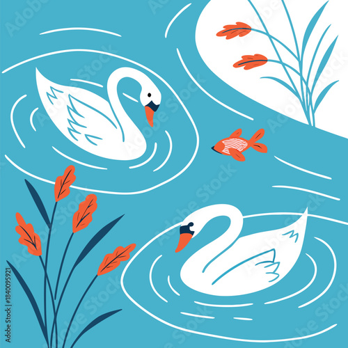 Vector illustration two white swans swimming in blue water with orangered fish and aquatic plants, illustration
