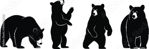 Black bear silhouettes in various poses