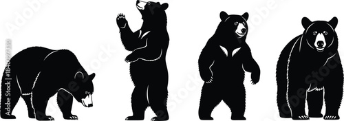 Set of black bear vector silhouettes