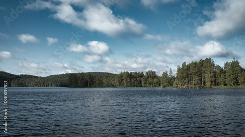 Swedish lake with forest reflection under blue sky on a sunny day