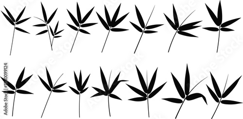 Bamboo leaf silhouette collection, botanical design, nature element, foliage shape, minimalist style, black vector icon, cad drawing flat vector illustration