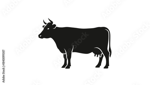 Silhouette of a Black Cow Standing Still on a White Background.