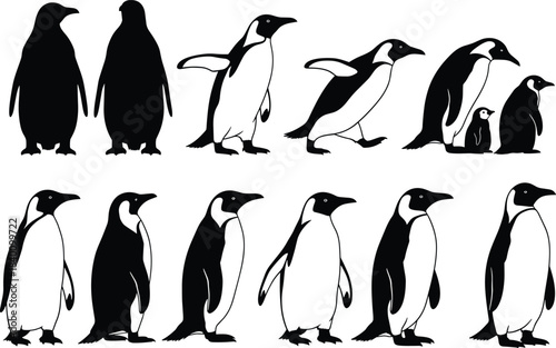Black and White Emperor Penguin Silhouette Vector Illustration Set, Including Adult and Chick, Standing, Walking, and Swimming Poses, Isolated Antarctic Birds Collection for Nature Design