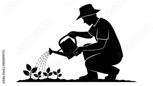 Silhouette of a gardener watering young plants in a garden.