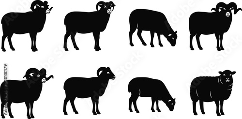 Black Silhouette Set of Different Sheep and Rams with Horns Vector Illustration, Standing and Grazing Positions, Livestock Animals Collection, Ideal for Farm, Agriculture, and Butchery Design