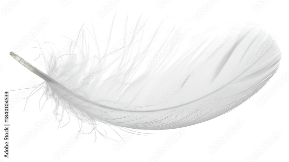Obraz premium Featherlight white down feather, isolated on transparent background