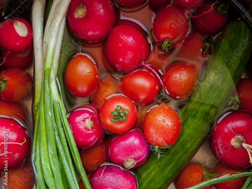 Bunch of fresh vegetables rinsed in the bowl with water in the sink, close up of veggies in the bowl covered with water drops.