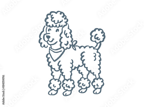 Poodle dog cartoon outline sketch vector illustration