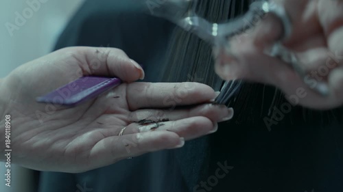 The hairdresser's hands with scissors trim the ends of the hair