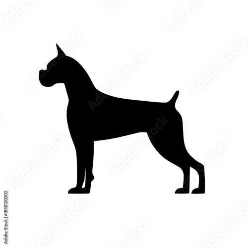 Silhouette of Boxer Dog on white background.