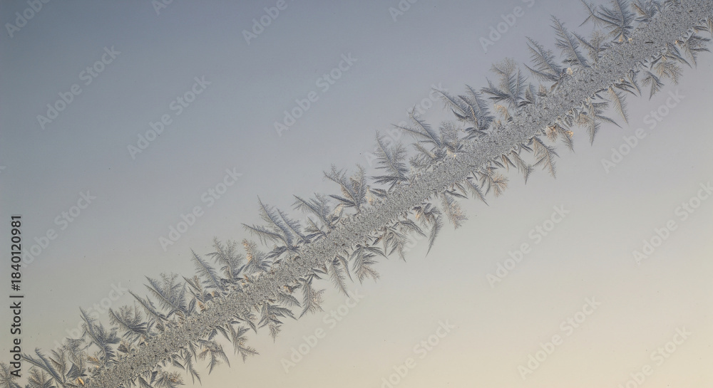 Fototapeta premium Macro view of delicate frost crystals shimmering along a diagonal surface, showcasing the intricate patterns of a cold winter morning against a softly blurred, gradient sky