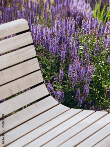 wooden bench in the garden