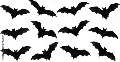 Collection of flying bat silhouettes in various wing positions, ideal for Halloween themes, spooky designs, nocturnal animals, and decorative graphic elements