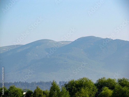 View to mountain, forest and blue sky