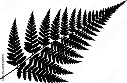 Elegant fern frond silhouette design element for nature lovers, creating a stunning botanical accent, perfect for adding a touch of organic beauty to designs
