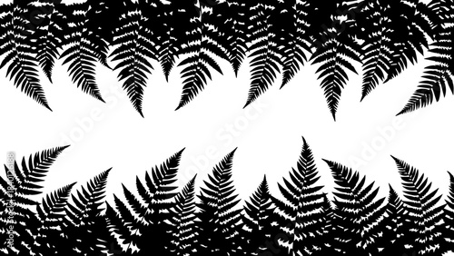Stunning black and white fern border silhouette perfect for elegant nature themed design overlays and framing elements