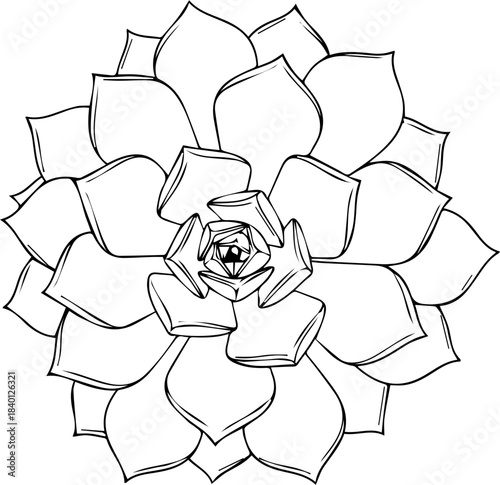 Elegant hand drawn succulent outline design perfect for minimalist tattoo art or modern botanical decoration projects