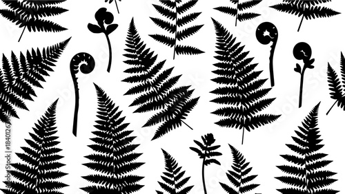 Stunning modern pattern featuring elegant black fern silhouettes and delicate unfurling fiddleheads for botanical design