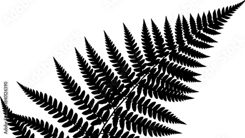 Stunning fern frond silhouette design element for nature themes, elegant botanical illustrations, and vibrant natural designs, originally a scalable vector graphic