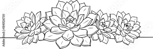 Delicate succulent arrangement, perfect for adding a touch of natural elegance to your designs, invitations, or branding projects with a minimal aesthetic