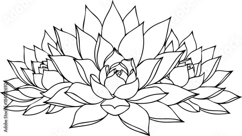 Elegant succulent arrangement with delicate line work, perfect for botanical designs, serene branding, and natural beauty projects. Originally vector art.