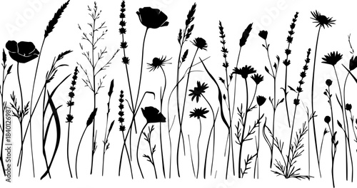 Elegant wildflower silhouettes creating a stunning meadow border, ideal for nature-inspired designs and spring promotions, scalable vector graphic