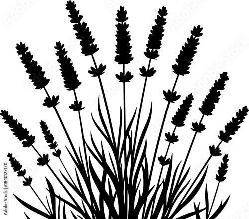 Elegant lavender sprigs create a sense of calm and relaxation, perfect for aromatherapy, spa, or wellness brands seeking a touch of natural beauty