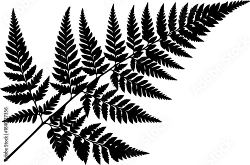 Elegant fern frond silhouette for botanical designs, natural beauty concepts, sustainable living projects, and nature-inspired themes, originally vector graphic