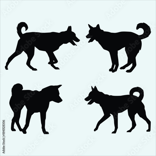 Domestic dog silhouettes. Canine animal vector illustration. Pet collection isolated.