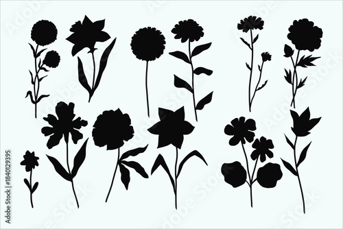 Botanical silhouettes. Black flower outlines. Floral decorative elements.