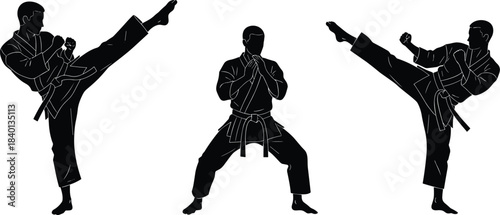 Karate martial arts silhouettes, fighters performing high kicks, defensive stances, combat training illustration, black vector style isolated background on whiteKarate martial arts silhouettes 
