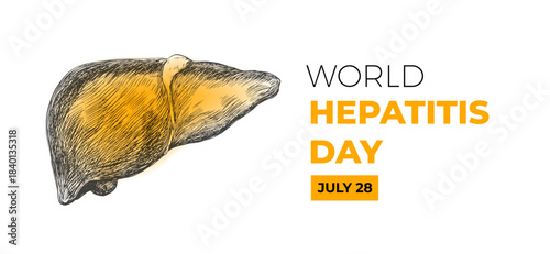 Banner for World Hepatitis day. Hand drawn liver