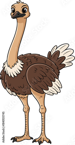 Cartoon Ostrich with Brown Feathers and Long Neck Standing on White Background Keywords: ostrich, bird, animal, wildlife, cartoon