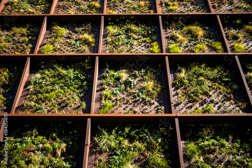 Modern architecture in a Copenhagen urban landscape where green design, vegetation and nature shape an outdoor environment expressed through structured rooftop grids and clean lines