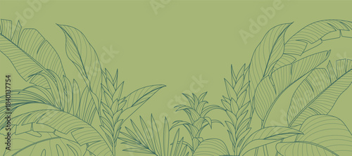 Tropical leaves background vector. Natural jungle monstera palm leaves design in minimal pale green color with contour line art. Design for fabric, print, cover, banner, decoration, wallpaper.