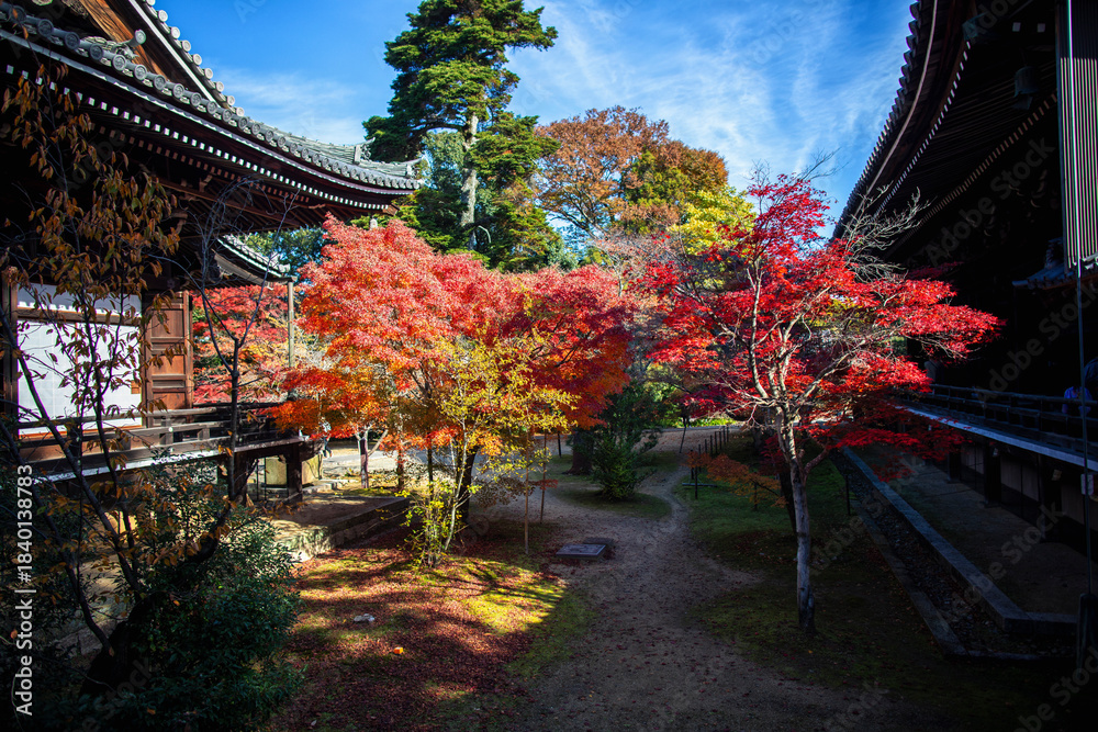 Fototapeta premium Kyoto's Komyoji Temple in late autumn, Japan