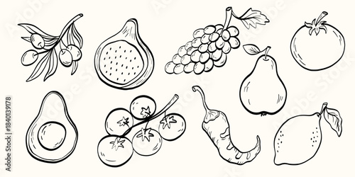 Mediterranean fruit and vegetable set in line: olives, figs, grapes, pear, tomato, avocado, chili and lemon. Ideal for menus, packaging, recipes and fresh food projects