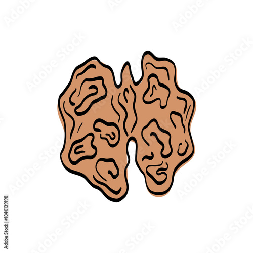 Hand-drawn walnut sketch featuring a detailed kernel and subtle vintage notes. Suitable for deli menus, wholesome cuisine graphics, and raw vegan product designs