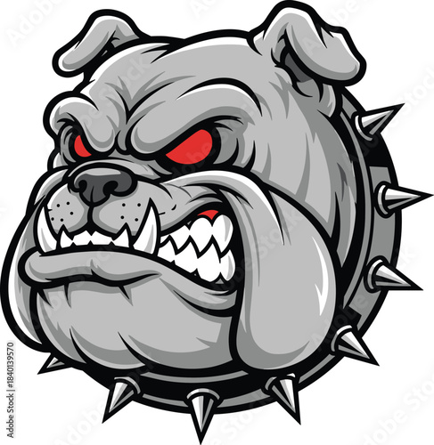 Fierce bulldog head with red eyes and spiked collar on white background Keywords: bulldog, dog, animal, pet, canine, angry, fierce