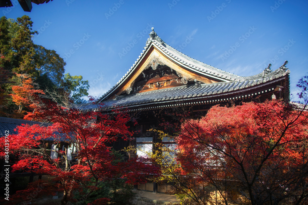 Fototapeta premium Kyoto's Komyoji Temple in late autumn, Japan
