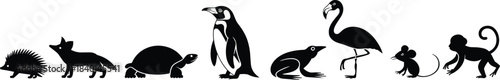 Animal silhouette set, diverse species, wildlife icons, black shapes, nature diversity, isolated creatures, educational graphic, minimal style, zoology concept
