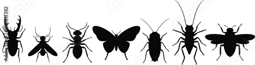 Insect, silhouette, beetle, fly, ant, butterfly, cockroach, bee, black, white, graphic, posture, biology, bug, wing, antenna, illustration, entomology, species, classification, nature