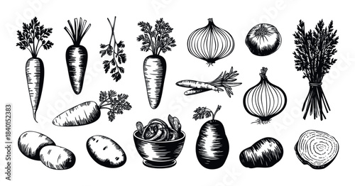 Black and white ink drawings of various vegetables including carrots, onions, potatoes, and a beet root slice, perfect for culinary themes and healthy eating concepts.