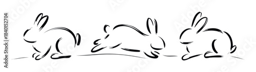 Three dynamic line drawings of playful bunnies in motion, perfect for spring celebrations, Easter themes, and lively animal graphics.
