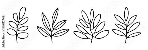 Line drawings of stylized branches with leaves in varying shapes and sizes, perfect for naturethemed projects and botanical graphics.