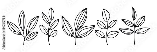 Collection of delicate line art branches with leaves for organic floral designs and natural thematic projects seeking a simple, elegant botanical aesthetic.